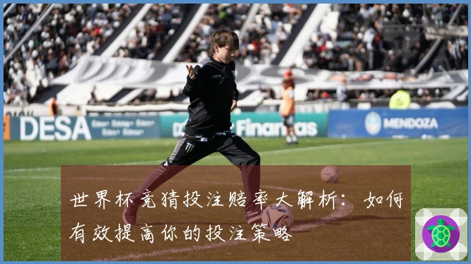 世界杯竞猜投注赔率大解析：如何有效提高你的投注策略