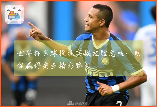 世界杯买球投注实战经验总结，助你赢得更多精彩瞬间