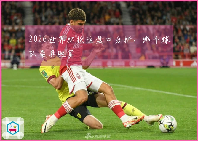 2026世界杯投注盘口分析，哪个球队最具胜算