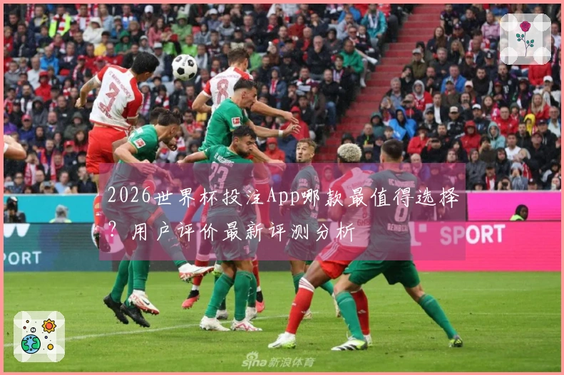 2026世界杯投注App哪款最值得选择？用户评价最新评测分析