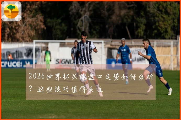 2026世界杯买球盘口走势如何分析？这些技巧值得关注