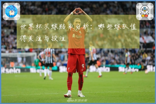 世界杯买球赔率分析：哪些球队值得关注与投注