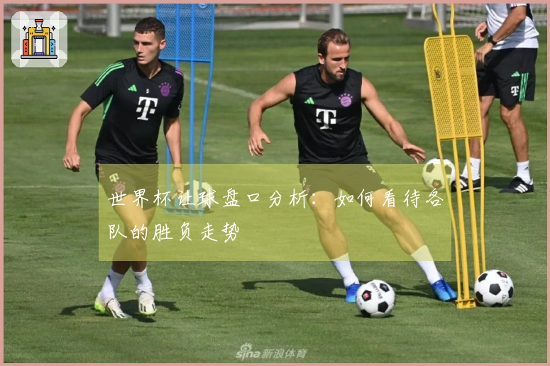 世界杯让球盘口分析：如何看待各队的胜负走势