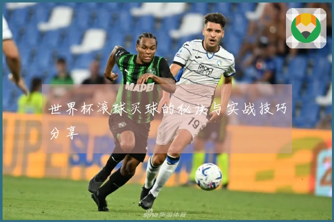 世界杯滚球买球的秘诀与实战技巧分享