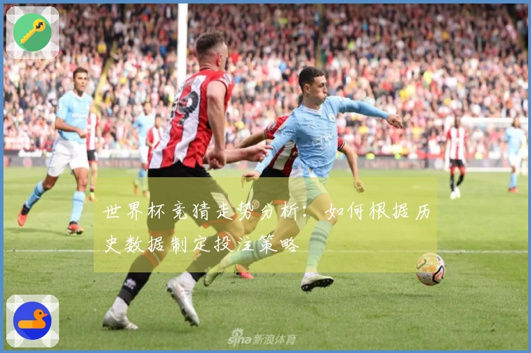 世界杯竞猜走势分析：如何根据历史数据制定投注策略