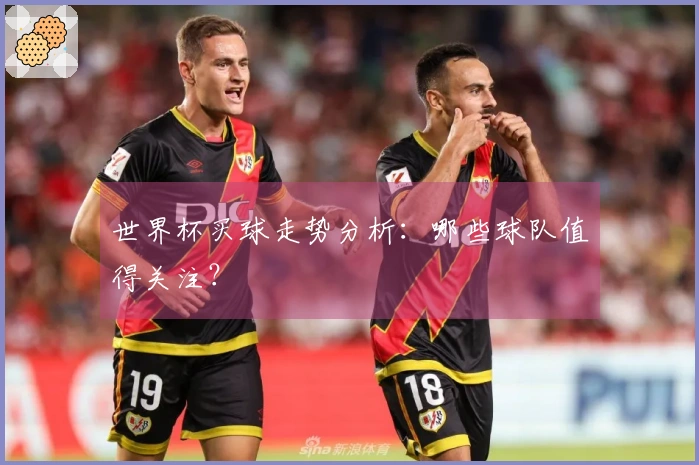 世界杯买球走势分析：哪些球队值得关注？