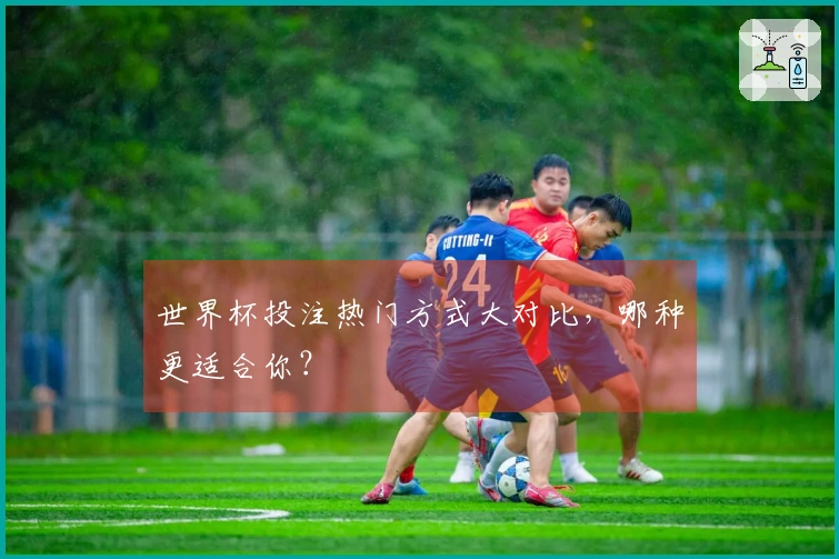 世界杯投注热门方式大对比，哪种更适合你？