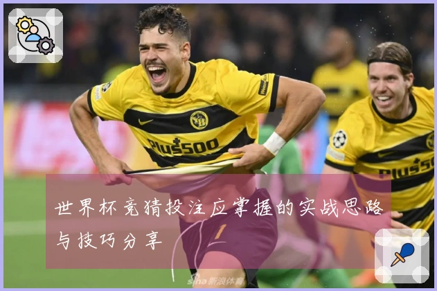 世界杯竞猜投注应掌握的实战思路与技巧分享