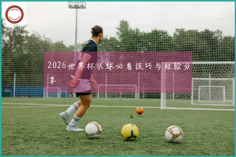 2026世界杯买球必看技巧与经验分享