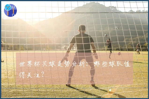 世界杯买球走势分析：哪些球队值得关注？