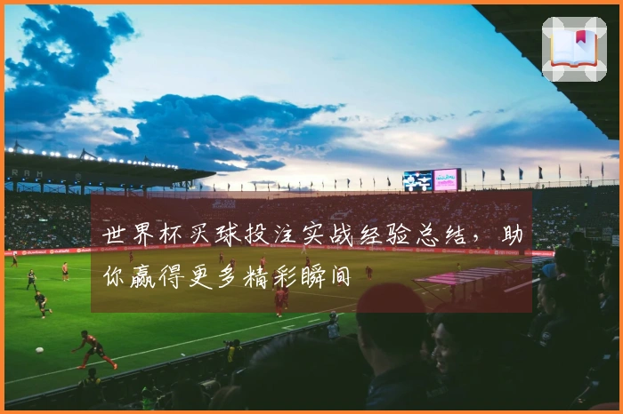 世界杯买球投注实战经验总结，助你赢得更多精彩瞬间